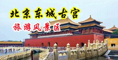骚逼女人靠逼中国北京-东城古宫旅游风景区